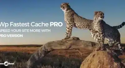 WP Fastest Cache Premium WordPress Plugin