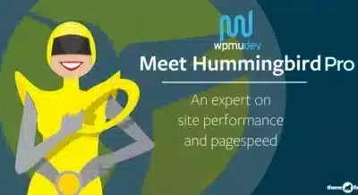 WPMU DEV Hummingbird Pro
