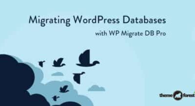 WP Migrate DB Pro – WordPress Site Migration Plugin