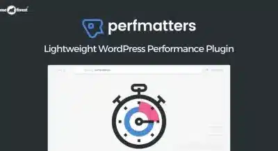 Perfmatters – Lightweight WordPress Performance Plugin