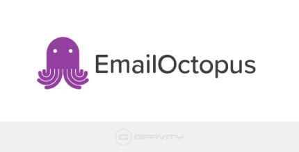 Gravity-Forms-Email-Octopus-430x219-1.webp Gravity Forms Email Octopus - Image 1