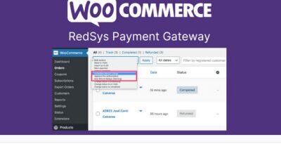 WooCommerce RedSys Payment Gateway