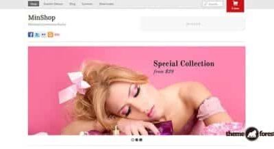 Themify Minshop WordPress Theme + Activation