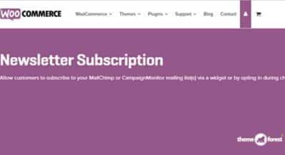 WooCommerce Newsletter Subscription