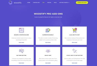 Woostify Pro
