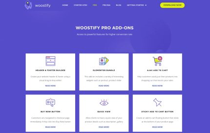Woostify Pro