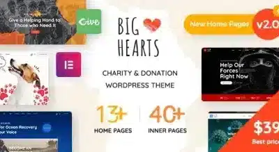 BigHearts – Charity & Donation WordPress Theme